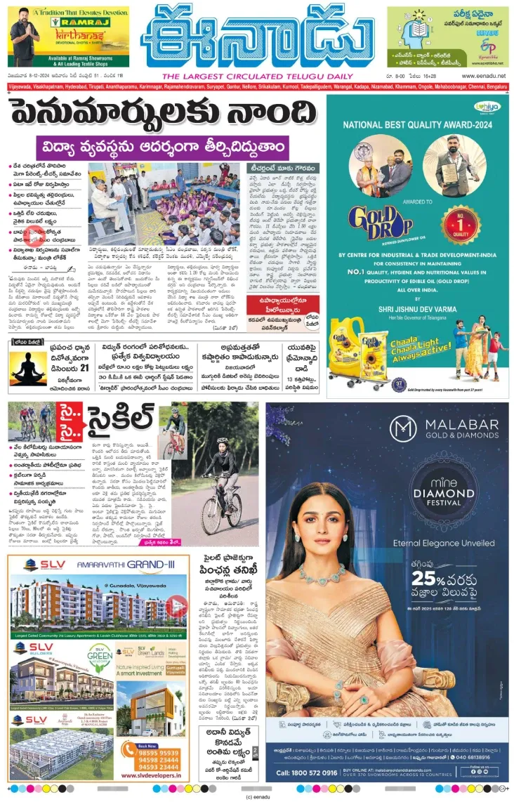 media-5